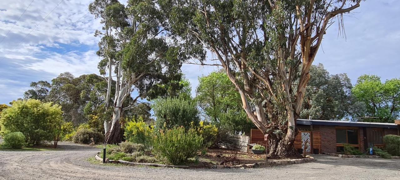 Halls Haven Holiday Units Halls Gap Luaran gambar